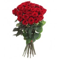 11 красных роз 40–50 см