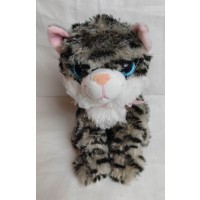 Серый полосатый кот с большими глазами