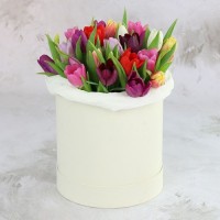 25 разноцветных тюльпанов в коробке